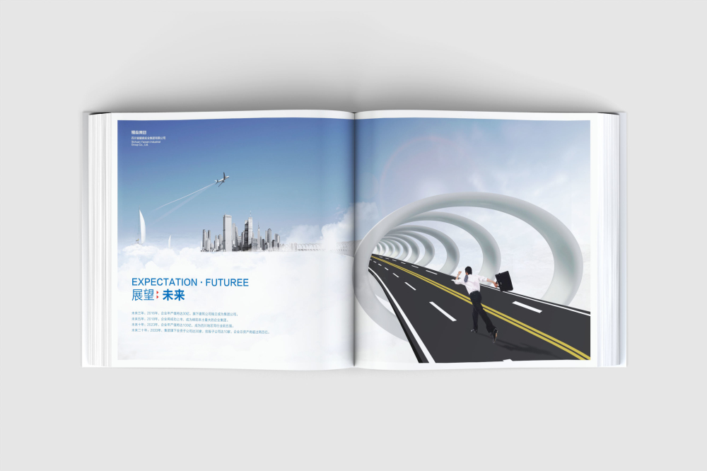 崇仁县画册设计